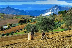 Vakantie in Le Marche, Italië