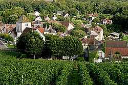 Nuits-Saint-Georges. Vakantie in de Bourgogne.